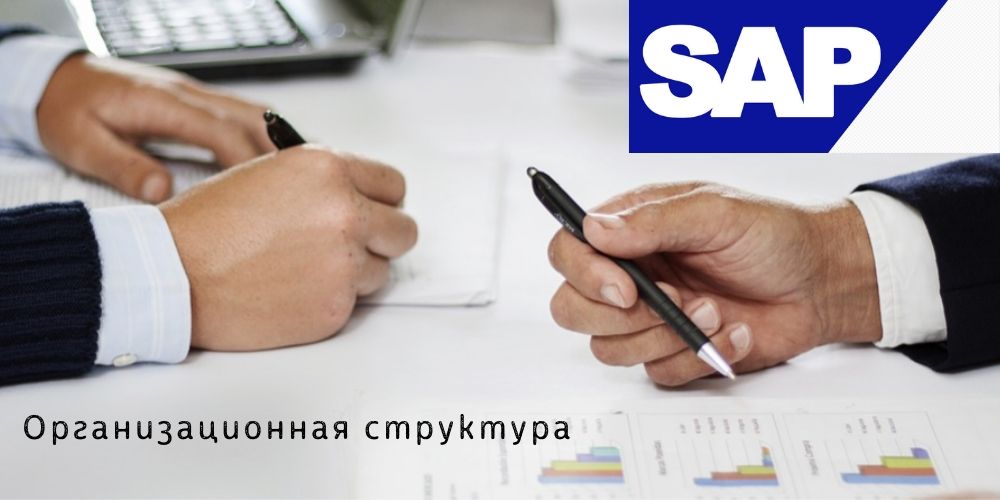 Описание организационной структуры