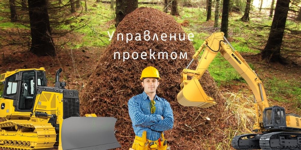 Управление проектом (участники и бизнес-роли)